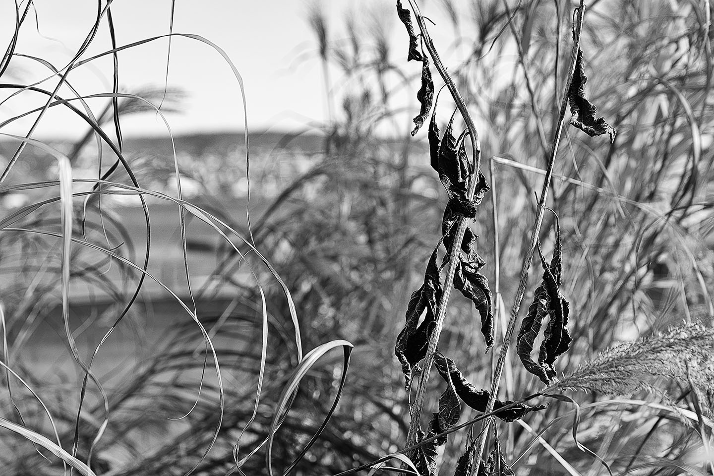 Winterpark Bad Mythenquai